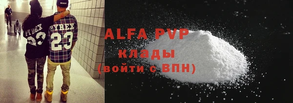 стаф Горняк