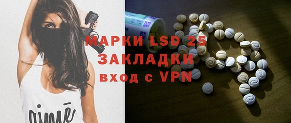стаф Горняк