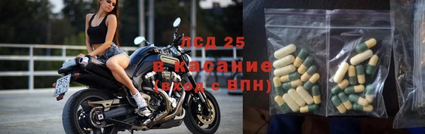 стаф Горняк