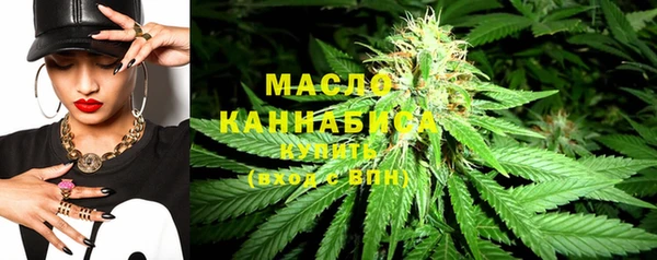 стаф Горняк