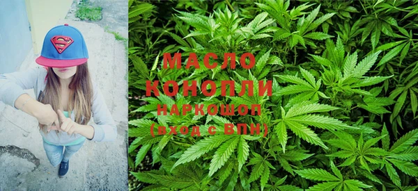стаф Горняк