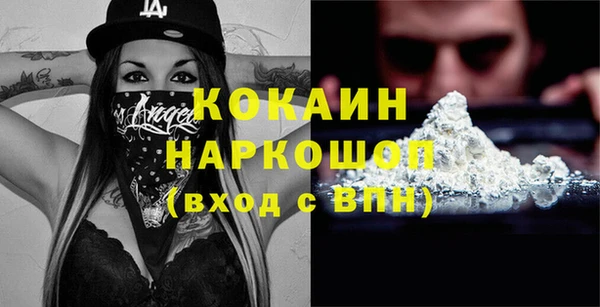 стаф Горняк