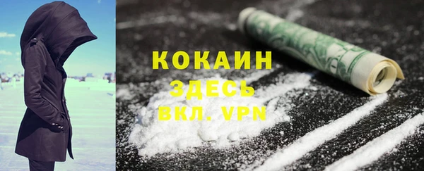 стаф Горняк